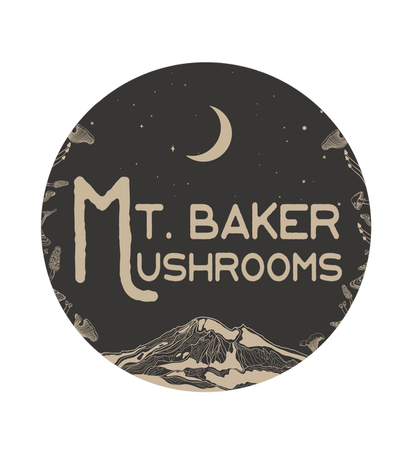 Mt. Baker Mushrooms